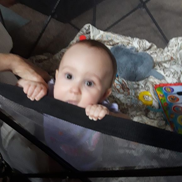 Meet your Posher, Sheila - Picture 1 of 1